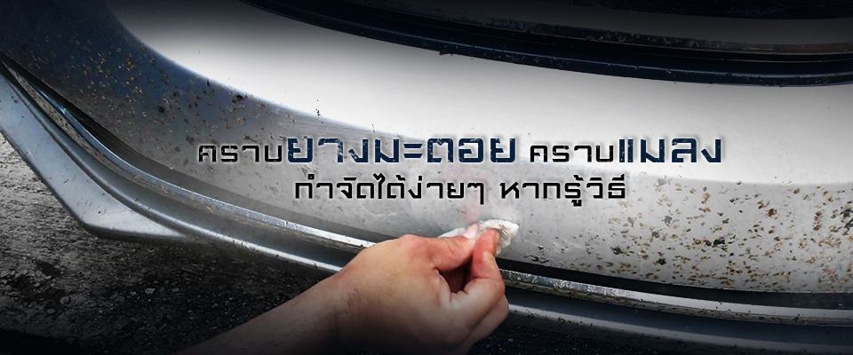 แมลงติดรถยนต์